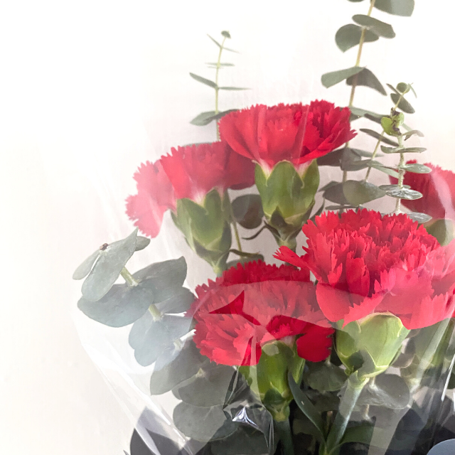 Sweet Fresh Red Carnations Bouquet